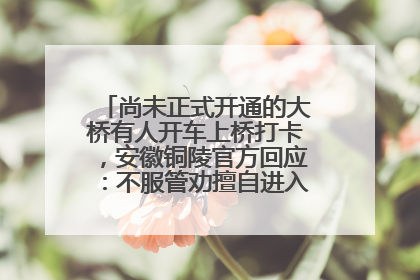 尚未正式开通的大桥有人开车上桥打卡，安徽铜陵官方回应：不服管劝擅自进入，已采取措施